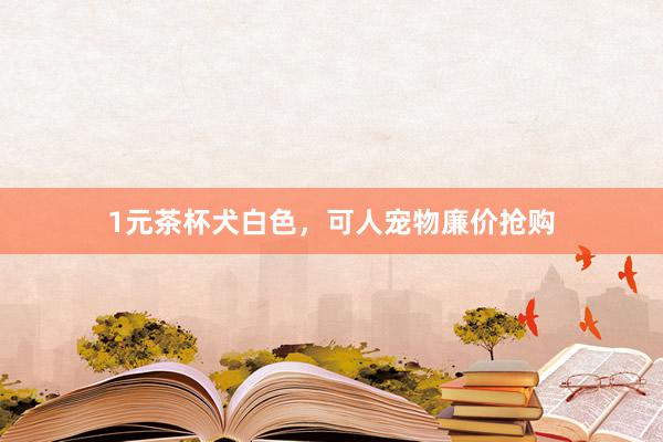 1元茶杯犬白色，可人宠物廉价抢购