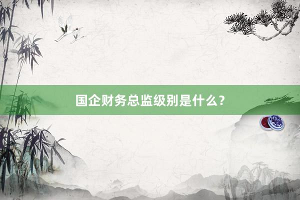 国企财务总监级别是什么？